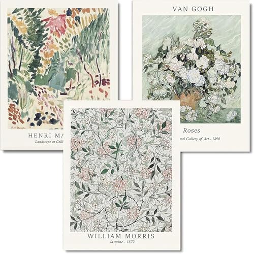 3 Pack Flowers Paint by Numbers Kit for Adults Beginner (Without Frame) by KICHANG
