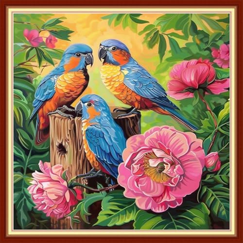 Joyhoor Stamped Cross Stitch Kits for Beginners, Needlepoint Kits for Adults, 11CT Counted Embroidery Kits-Birds and Flowers 18x18 inchs by JoyhoorCrossStitchKits