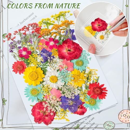 Kaluofan 103PCS Bookmark Making Kit, Transparent Flower Bookmarks, Handmade Dried Flower Bookmark Kit for School, DIY Bookmark Kit with Abundant Bottle Bookmarks Dried Flowers Tassels and Tweezer - Image 7
