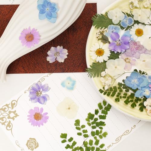 Dried Pressed Flowers Real Pressed Flowers Natural Dry Leaves Bulk Mixed Colorful Herbs Kit with Tweezers for Scrapbooking DIY Candle Jewelry Crafts Making Nails (White, Purple, Blue) - Image 5