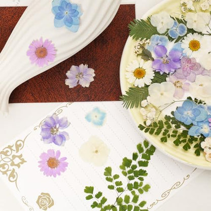 Dried Pressed Flowers Real Pressed Flowers Natural Dry Leaves Bulk Mixed Colorful Herbs Kit with Tweezers for Scrapbooking DIY Candle Jewelry Crafts Making Nails (White, Purple, Blue) - Image 5
