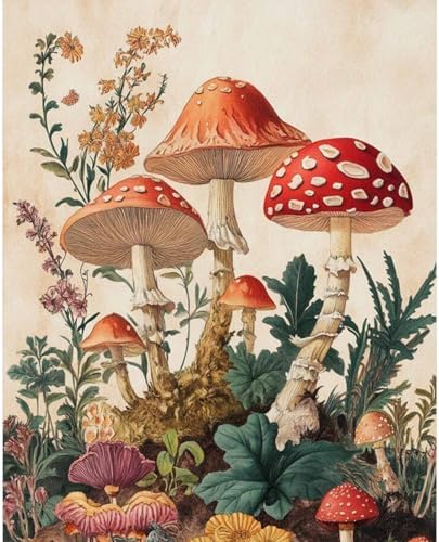 Dawnsphere Mushroom Paint by Numbers Kit for Adults Without Frame 16x20 in by Dawnsphere