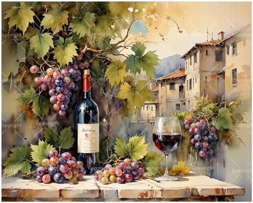 Kitchen Art Paint by Numbers Kit for Adults - DIY Wine Bottle and Grapes with Village View Painting on Canvas 16x20 Inches, Acrylic Paint Set, Suitable for Beginners,Art for Decoration/Gifts by Unknown