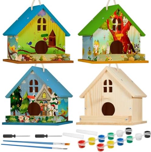 Juexica 4 Pack DIY Birdhouse Kits for Kids 8+ Build and Paint, Window by Juexica
