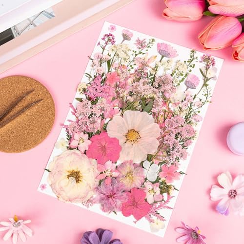 50pcs Pink Pressed Flowers Bulk, Romantic Dried Flower Leaves, Natural Pressed Dried Flowers with Tweezer for DIY Crafts Resin Mold Candles Cake Bridal Scrapbooking Supplies - Image 3