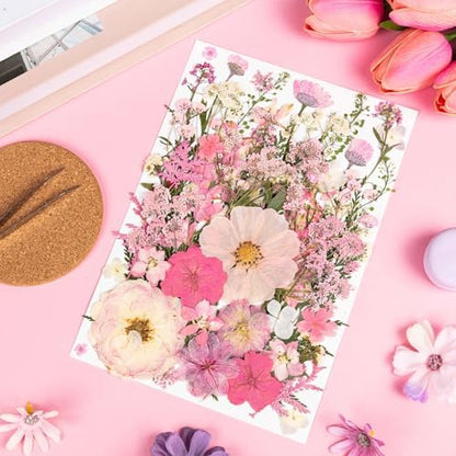 50pcs Pink Pressed Flowers Bulk, Romantic Dried Flower Leaves, Natural Pressed Dried Flowers with Tweezer for DIY Crafts Resin Mold Candles Cake Bridal Scrapbooking Supplies - Image 3