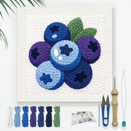 DOODLREAM Fresh Blueberry Punch Needle Kit for Beginner 9.4" x 9.4" by Doodlream