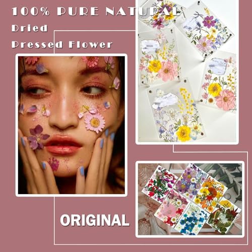 MIKIYA 150Pcs Dried Pressed Flowers for Resin, Assorted Real Natural Bulk Dry Floral Leaves for DIY Art Crafts, Epoxy Molds, Jewelry, Soap, Candle Making, Nails Decors - Image 2