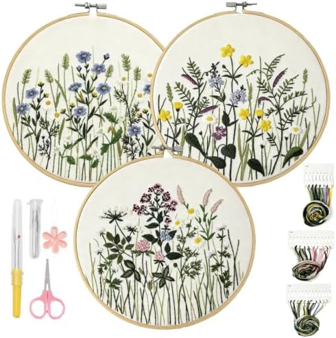 Embroidery Kit for Beginners Learn 7 Common Stitches Step-by-Step Video by Unknown
