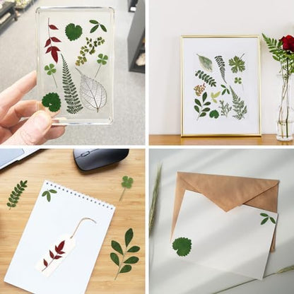84 Pcs Dried Pressed Leaves Flowers Real Natural Dried Leaves Plant Kit Assorted Dried Greenery for Resin Art DIY Crafts Party Decorations Bookmarks Scrapbooking Candle Soap Making, 20 Types - Image 5