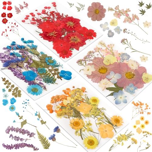 72Pcs Dried Pressed Flowers for Resin, Natural Dried Flowers for Crafts, Real Pressed Flowers Dry Leaves Bulk for Epoxy Resin Jewelry,Scrapbook,Picture Frame,Bookmarks,Candle & Soap Making by Unknown
