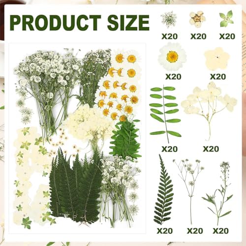Fabbay 200 Pcs Dried Pressed Flowers Natural Leaves for Resin Nail, White - Image 3