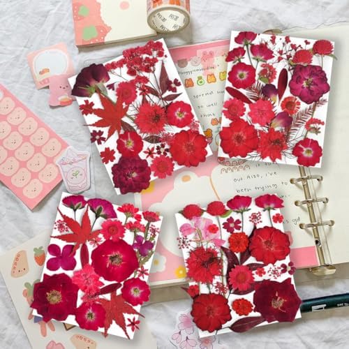150PCS Red Dried Pressed Flowers with Butterfly Stickers - YouthBro Real Nature Flowers Herb Set for Resin DIY Jewelry Candle Soap Vase Making Nail Card Scrapbook Art Craft Floral Decors - Image 2