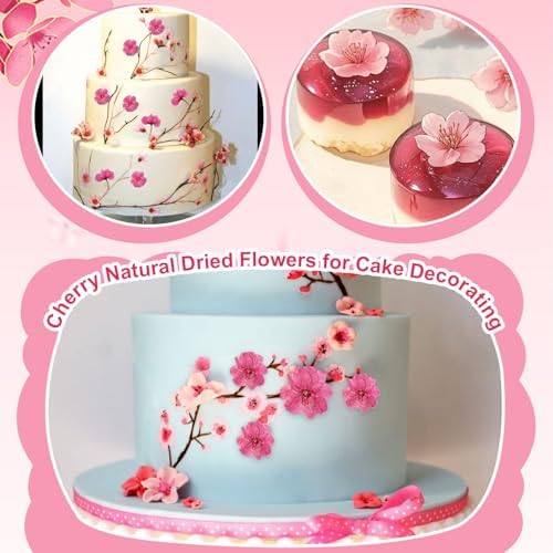 101 PCS Pressed Cherry Blossom for Crafts, Pink Dried Pressed Flowers for Resin DIY Jewelry Making Cake Card Scrapbook Decor, Dried Sakura Flowers for Soap Candle Making - Image 4