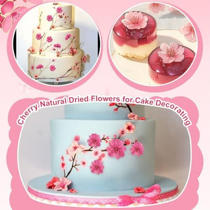 101 PCS Pressed Cherry Blossom for Crafts, Pink Dried Pressed Flowers for Resin DIY Jewelry Making Cake Card Scrapbook Decor, Dried Sakura Flowers for Soap Candle Making - Image 4