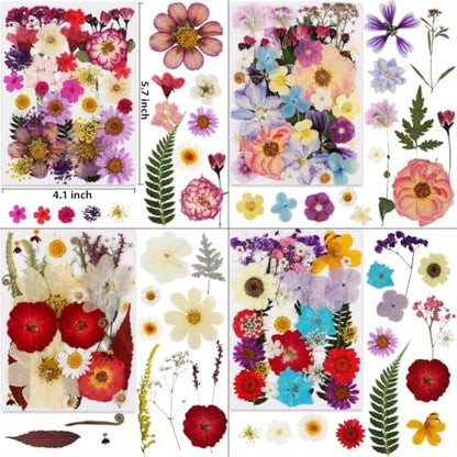 420 Pcs Dried Pressed Flowers for Resin,Bulk Natural Real Dried Flowers - Image 4