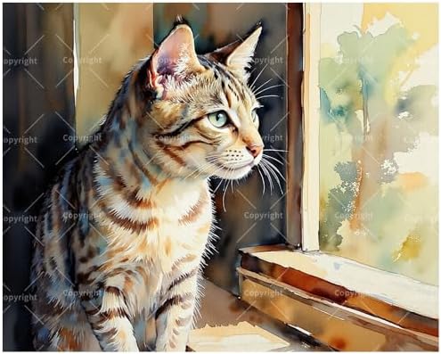 Window Gazing Cat Paint by Numbers Kit for Adults - DIY Tabby Cat Looking Outside Painting on Canvas 16x20 Inches, Acrylic Paint Set, Suitable for Beginners,Pet Art for Home Decoration/Gifts by Unknown