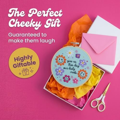 FUNATIC Give Us This Day Our Daily Meds Funny Embroidery Kit for Adults - Image 6