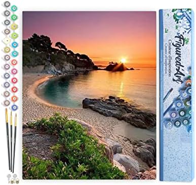Figured'Art Paint by Numbers Kit for Adults Quiet Beach at Dusk 16"x20" - Craft Art Painting DIY Kit Rolled Canvas Without Frame by FiguredArt