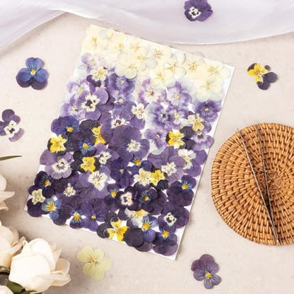 60Pcs Dried Pressed Pansies Flowers for Cake Decorating, Purple Real Dry Flower for Resin Art Crafts Jewelry Decorations - Image 3