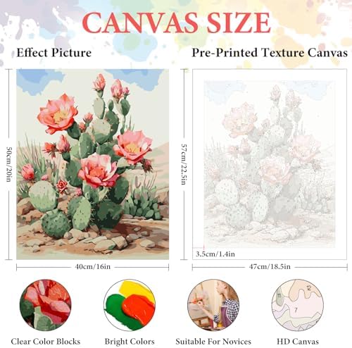 Paint by Numbers Kit for Adults Beginner, Desert Cactus Flowers,16x20 Inch - Image 2