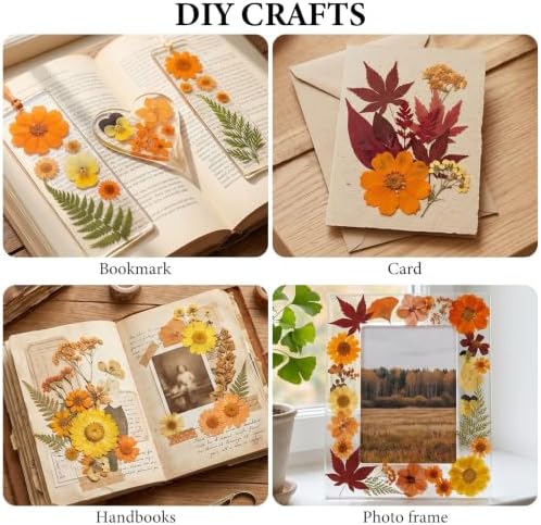 350 Pcs Fall Dried Flowers for Crafts,Real Nature Dried Flowers for Resin - Image 4