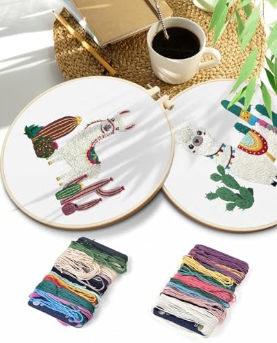 TINDTOP Embroidery Kit for Adult Beginners, Embroidery DIY Starter Kit - Image 7