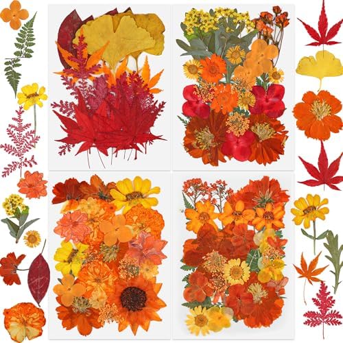 100 PCS Real Fall Dried Pressed Flowers Leaves Fall Natural Dried Flowers Leaves Kit Autumn Pressed Dry Flower Leaf Set for Scrapbooking DIY Art Craft Resin Jewelry Molds Candle Soap Making Nail Decor by peonyman