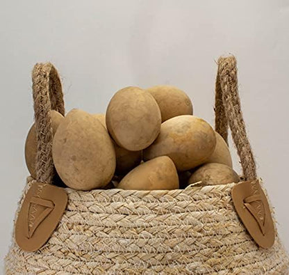 Dried Egg Gourds for Crafts – 50 Natural 2.5–3" Gourds for Painting & DIY - Image 7
