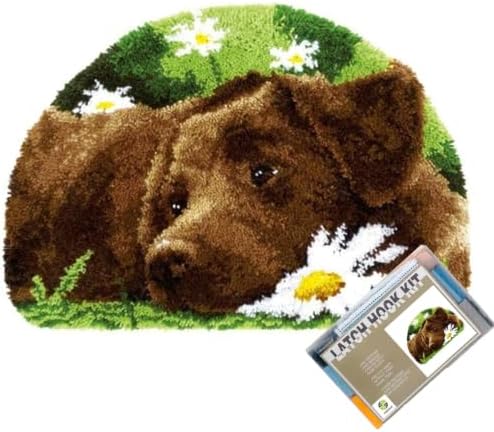 Lovely Labrador Puppy Latch Hook Kits for Adults Beginners, 15“ X 21" by EMISTEM