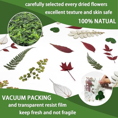 84 Pcs Dried Pressed Leaves Flowers Real Natural Dried Leaves Plant Kit Assorted Dried Greenery for Resin Art DIY Crafts Party Decorations Bookmarks Scrapbooking Candle Soap Making, 20 Types - Image 4