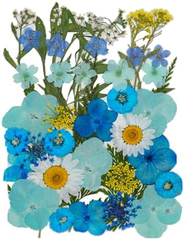 11 Types 40pc Colourful Dried Pressed Flowers for Resin Real Flowers for DIY Bookmark Scrapbook Photo Frame Jewelry Vase Candle Making Nail Card Art Craft Floral Decors by DEARPIH