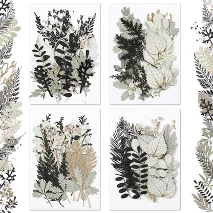 Timtin 84 Pieces Dried Pressed Leaves Dried Flowers for Resin Dried Leaves for Resin Mini Dried Flowers for Crafts Dried Greenery Assorted for Art DIY Handmade Bookmarks 4 Bags (Stylish Style) by Timtin