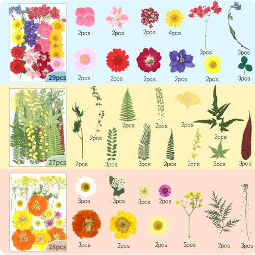 210 Pcs Dried Pressed Flowers for Resin, Dried Pressed Flowers for Crafts, Bulk Natural Dried Flowers Kit with DlY Butterfly Stickers&Tweezers for Resin Molds, Candles, Soap,Jewelry Making, Art Crafts - Image 3