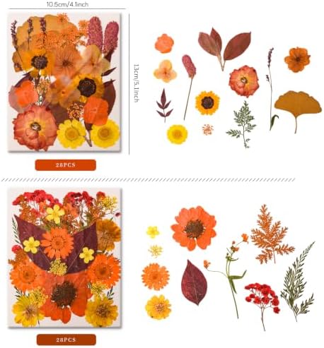 5 Packs 140 Pressed Dried Flowers & Leaves, Fall - Image 3