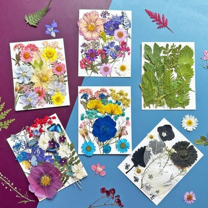 MIKIYA 133Pcs Dried Pressed Flowers for Resin Molds, Assorted Real Natural Bulk Dry Floral Leaves for DIY Art Crafts, Epoxy Jewelry, Soap, Candle Making, Nails Decor - Image 3