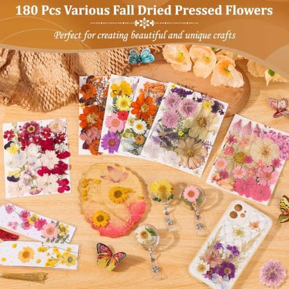 Evatage 180 Pcs Real Dried Pressed Flowers for Resin Crafts - Image 2