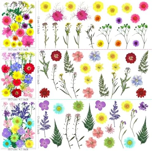 MIKIYA 192Pcs Dried Pressed Flowers for Resin, Assorted Real Natural Bulk Dry Floral Leaves for DIY Art Crafts, Epoxy Molds, Jewelry, Soap, Candle Making, Nails Decors - Image 6