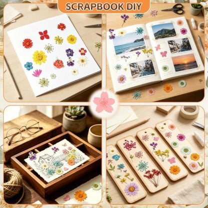 Dried Pressed Flowers for Resin Crafts, Real Dried Flowers and Leaves Kit for Resin Jewelry Molds, Candle & Soap Making, Scrapbooking DIY, Nail Art (Multicolored) - Image 4
