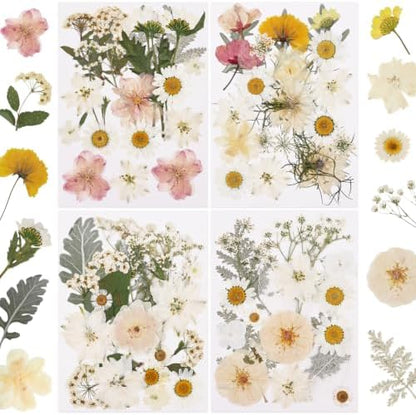 NESCCI 83 Pcs Dried Flowers for Crafts,Real Natural Dried Pressed Flowers by NESCCI