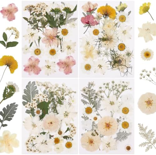NESCCI 83 Pcs Dried Flowers for Crafts,Real Natural Dried Pressed Flowers by NESCCI