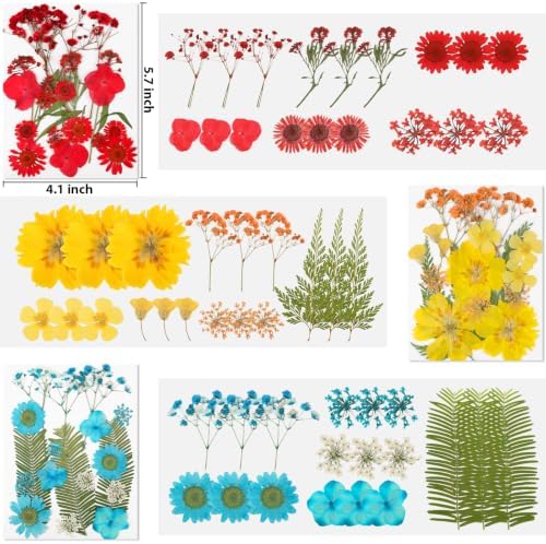 Dried Pressed Flowers for Resin,103pcs Real Nature Dried Flowers for Craft - Image 2
