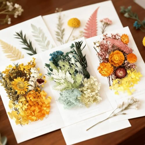 2PCS Dried Flowers Kit, Natural Dried Flowers Kit for DIY Crafts, Scrapbook, Card Making (Style18_24_27) - Image 2