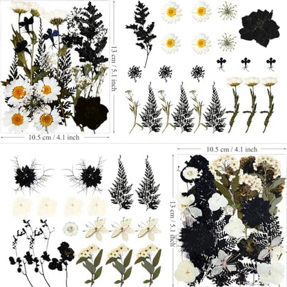 MIKIYA 84Pcs Black Dried Pressed Flowers for Resin Molds, Bulk Real Natural Dry Floral for DIY Art Crafts, Epoxy Jewelry, Candle, Soap Making, Nails Decor, Phone Case - Image 4