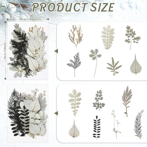 Timtin 84 Pieces Dried Pressed Leaves Dried Flowers for Resin Dried Leaves for Resin Mini Dried Flowers for Crafts Dried Greenery Assorted for Art DIY Handmade Bookmarks 4 Bags (Stylish Style) - Image 3