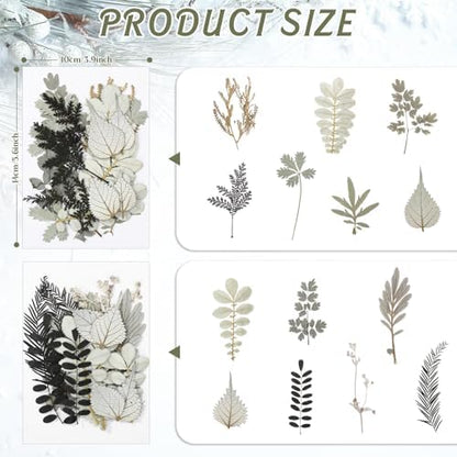 Timtin 84 Pieces Dried Pressed Leaves Dried Flowers for Resin Dried Leaves for Resin Mini Dried Flowers for Crafts Dried Greenery Assorted for Art DIY Handmade Bookmarks 4 Bags (Stylish Style) - Image 3