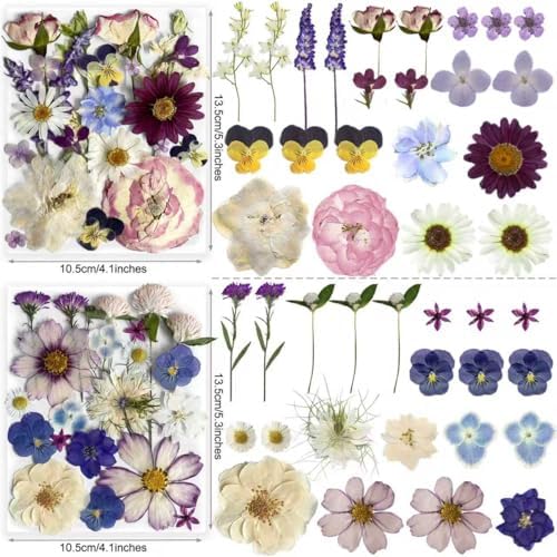 Purple Pressed Flowers 88Pcs Real Natural Dried for Resin Molds, DIY Crafts, Jewelry + Free 100Pcs Butterfly Stickers + Tweezers - Image 2