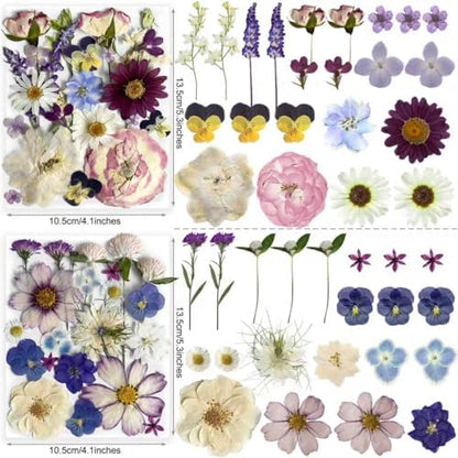 Purple Pressed Flowers 88Pcs Real Natural Dried for Resin Molds, DIY Crafts, Jewelry + Free 100Pcs Butterfly Stickers + Tweezers - Image 2