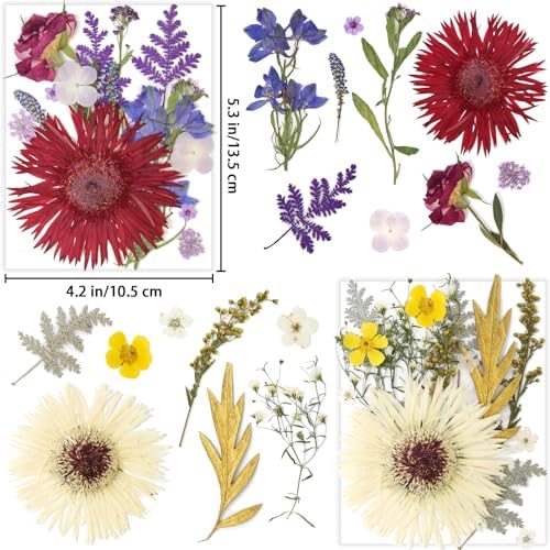 17 Types 30PCS Real Dried Pressed Flowers Bulk Dried Flower for Crafts, Packed DIY Natural Dried Pressed Flowers for Resin Mold Scrapbooking DIY - Image 2