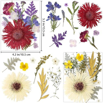 17 Types 30PCS Real Dried Pressed Flowers Bulk Dried Flower for Crafts, Packed DIY Natural Dried Pressed Flowers for Resin Mold Scrapbooking DIY - Image 2